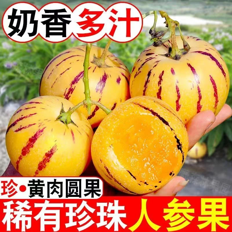 【新店半价】爆汁石林人参果水果新鲜应季现摘香甜圆果2/3/5斤包邮