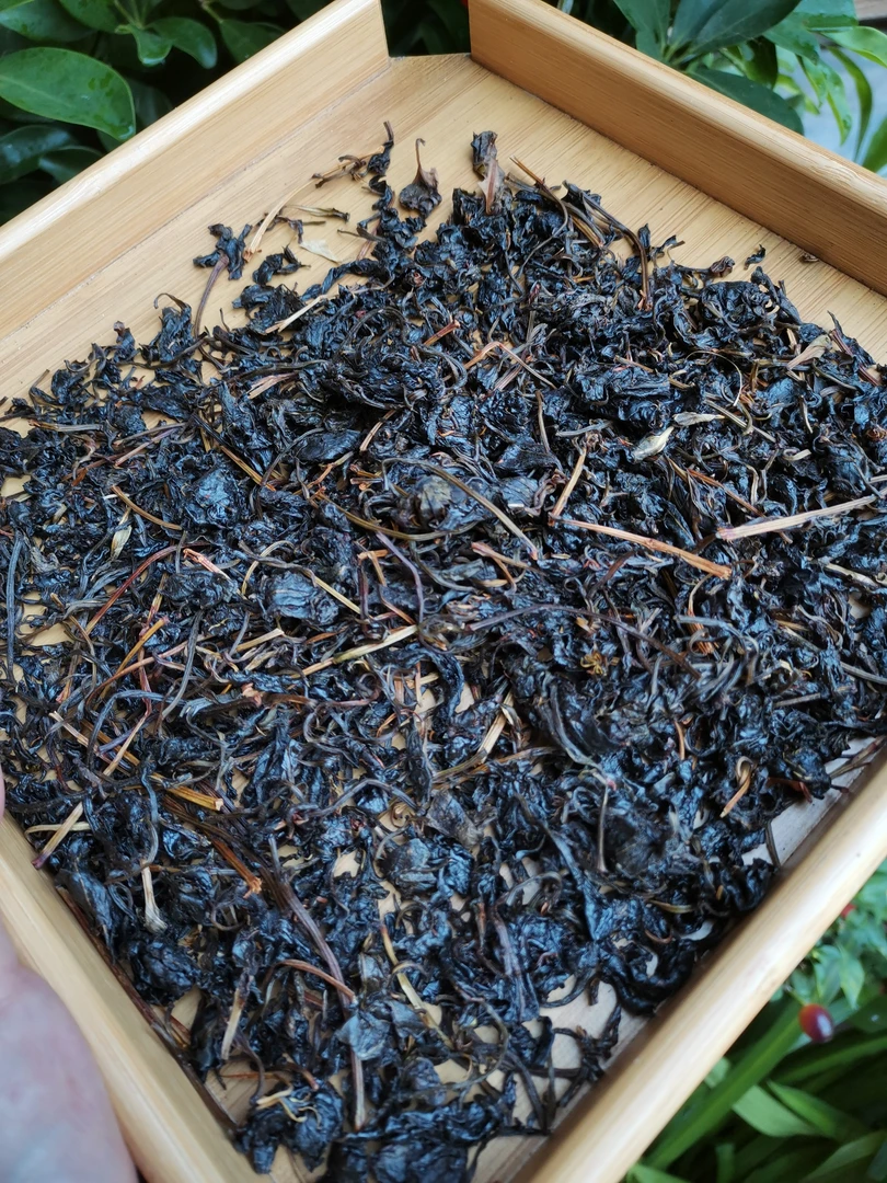 【小杨推荐】木姜叶柯甜茶