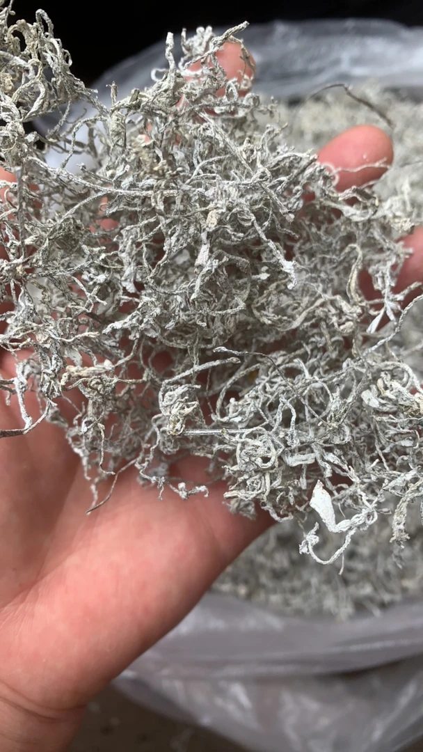 【小杨推荐】云南高山莓茶-云南藤茶