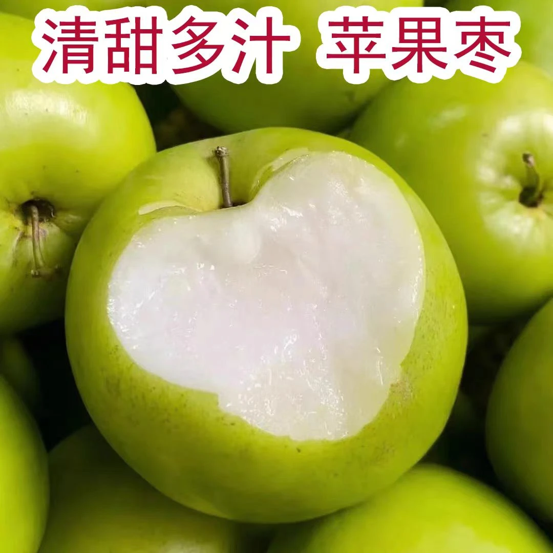 云南苹果枣特大果2斤/4斤