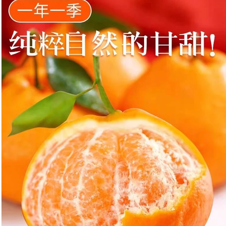 耙耙柑1斤/4斤鲜果/10斤礼盒耙耙柑四川省成都市