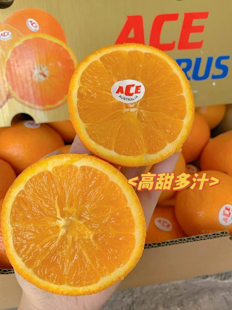 【高端礼盒】进口橙14个精选果