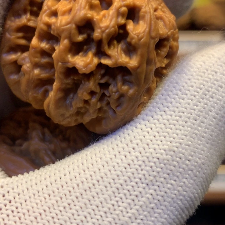 文玩核桃把件b****y粗筋39