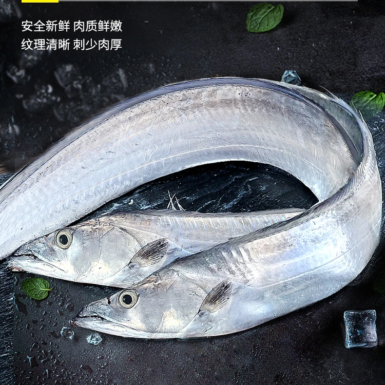 深海带鱼（1-1.5斤/条）连云港小眼睛油带鱼速冻刀鱼
