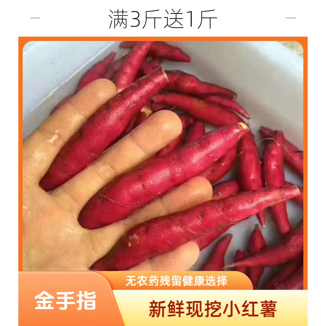 正宗临安农家种植小香薯新鲜番薯板栗红薯地瓜软糯金手指小拇指果