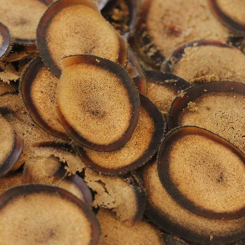 关东大掌柜 鹿茸片特粉半腊片  【残片】