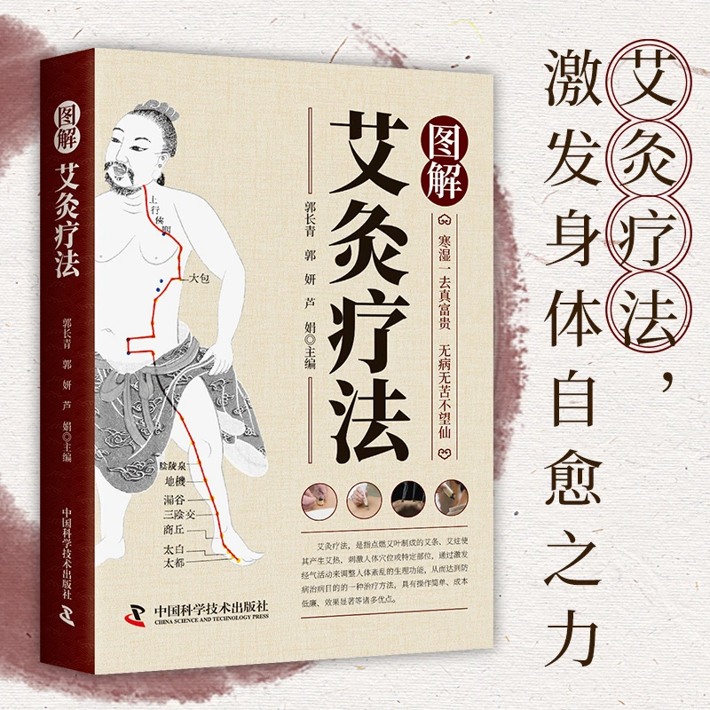 乐品学图解艾灸疗法临床艾草艾灸疗法治疗常见病祛消百病临床针灸