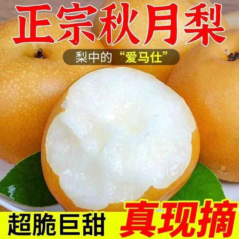 【新梨】产地直发山东莱阳冰糖秋月梨带箱爆甜爆汁水果5