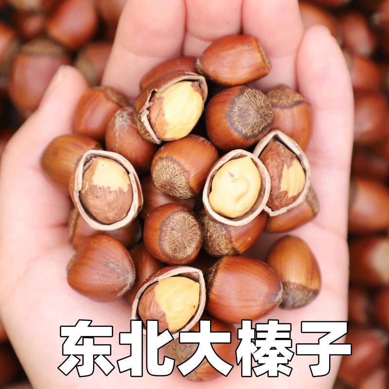 【专】东北特产平欧大榛子3斤  送钳子
