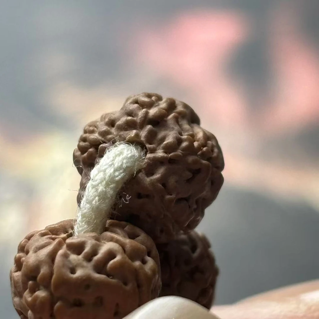 《大嫂》老树籽矮桩平细108金刚菩提9左右+礼盒