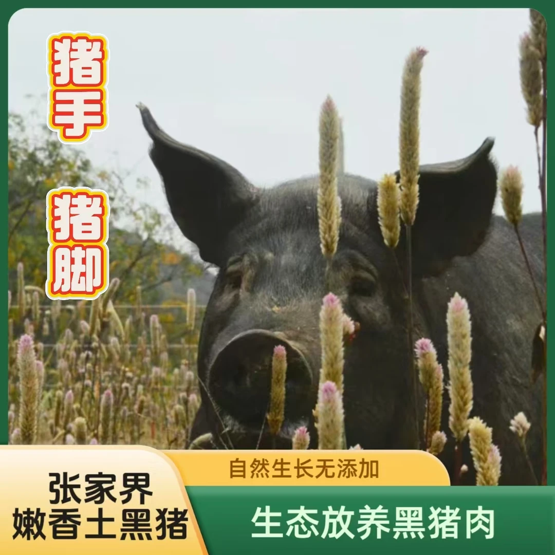 【向夫人专属】张家界嫩香土黑猪  猪手、猪脚   顺丰空运包邮