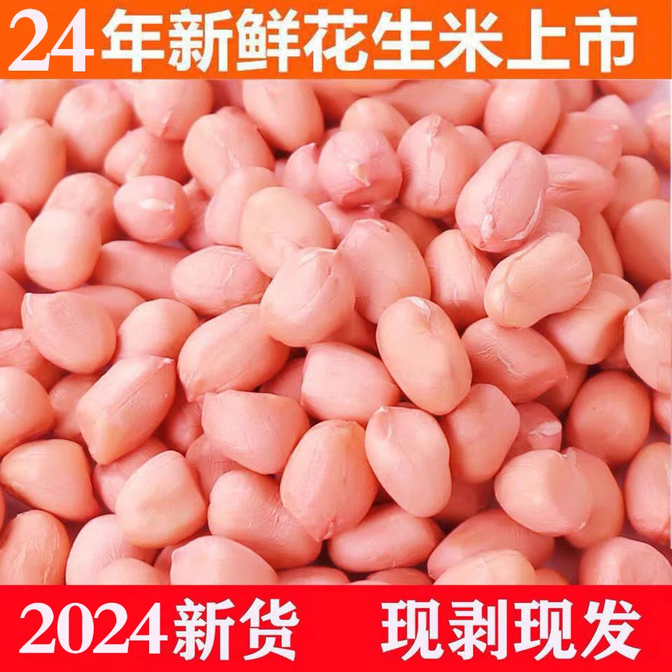 24年精选商用普通中粒生食用5斤3斤新鲜粉白传统白沙挑选花生米