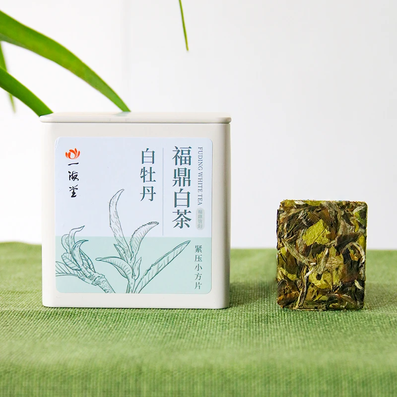 一海堂福鼎白茶罐装 紧压小方片（2022年白牡丹 75g）花香盒装茶叶