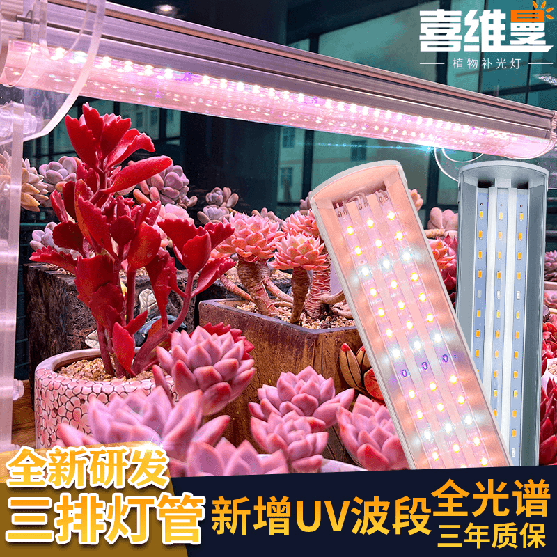《西施 推荐》 喜维曼多肉补光灯家用上色全光谱防徒室内植物生长灯