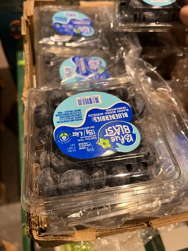 精品蓝莓一盒大果