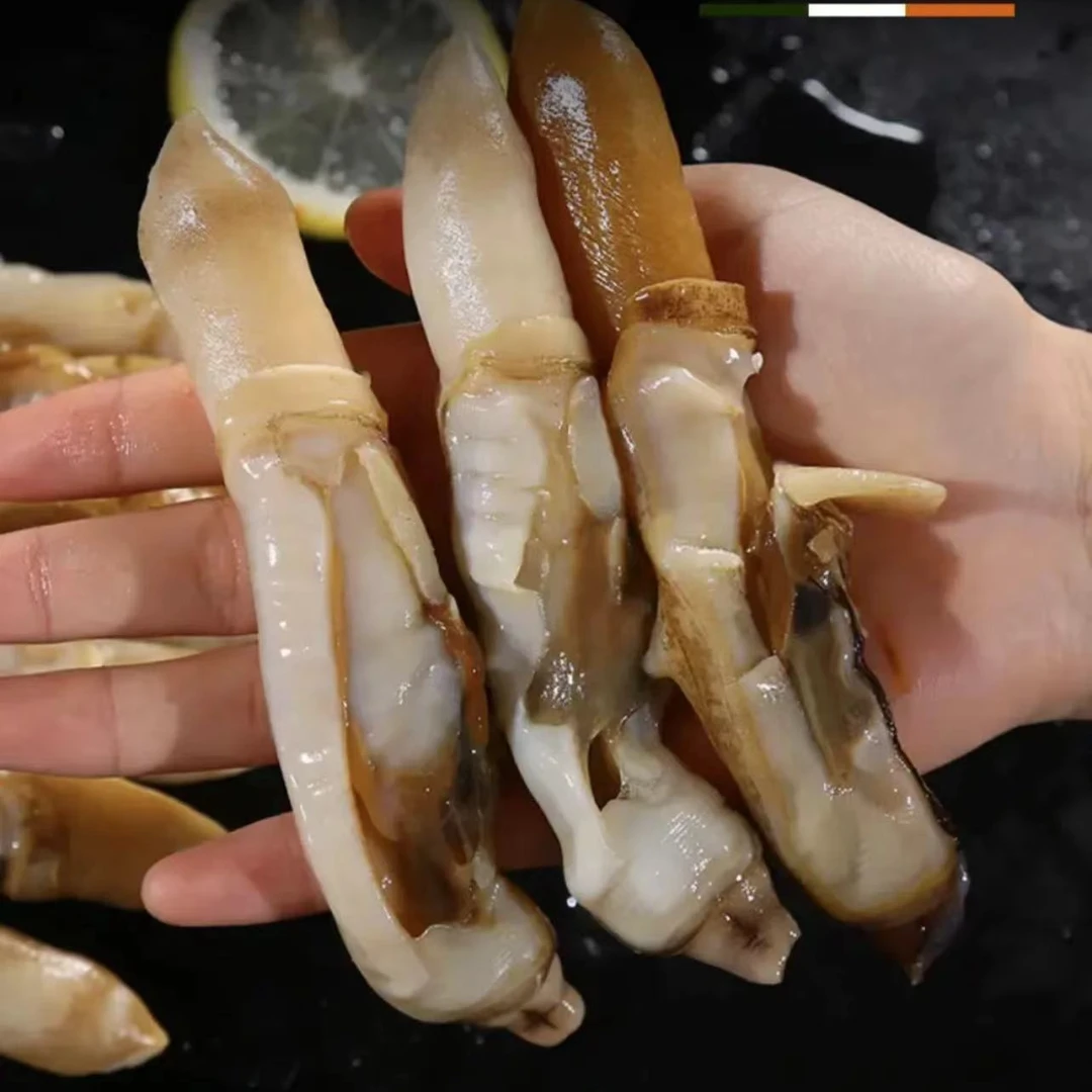 （大号蛏王肉）连云港发货 蛏王肉 每包500g到手4包
