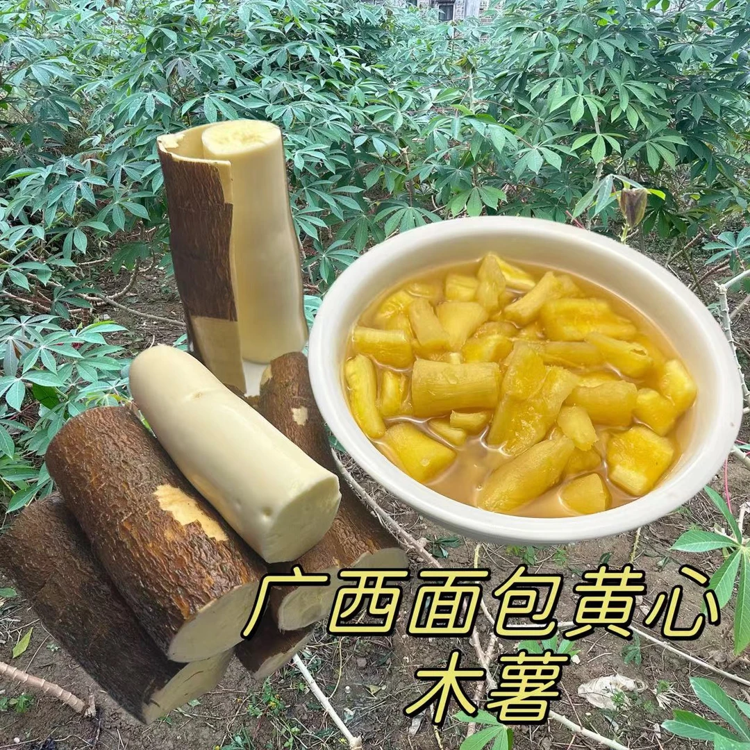 广西黄肉木薯新鲜现挖真空打包粉糯木薯糖水农家自种板栗黄心木薯