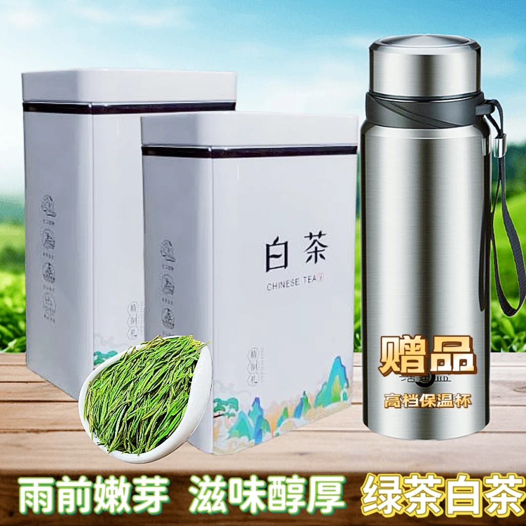 送保温杯 珍稀白茶2023年新茶高山绿茶雨前头采嫩芽罐装礼盒装