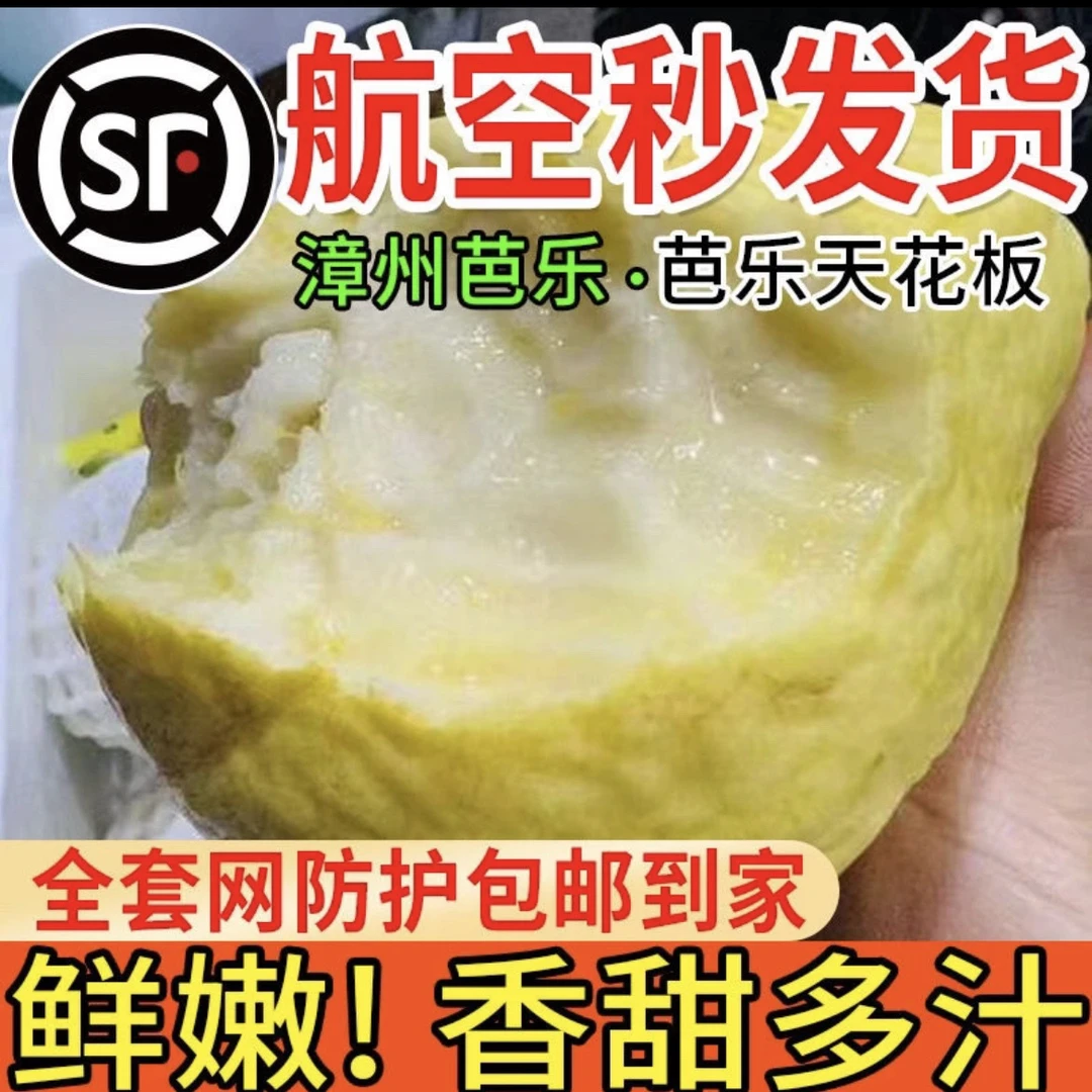 福建软糯红白心土芭乐孕妇低糖胭脂红软籽番石榴水果新鲜顺丰包邮