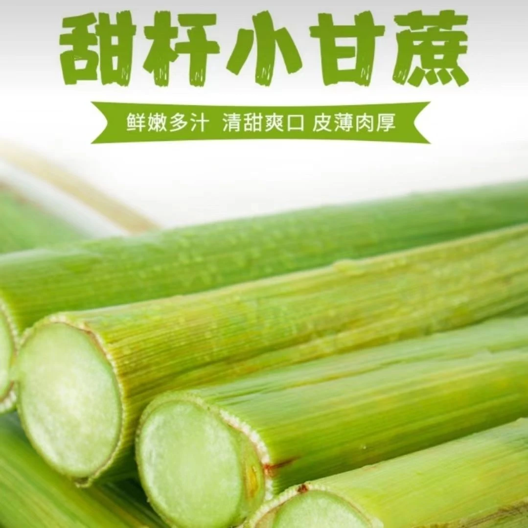 新鲜甜芦粟 甜杆甜高粱杆小甘蔗当季农家现砍中段青皮甜杆小时候