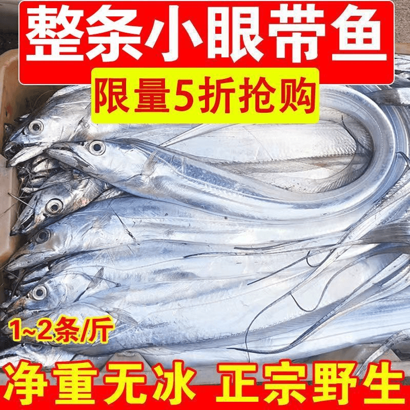 带鱼整条东海小眼带鱼正宗带鱼批发刀鱼带鱼一整箱水产海鲜批发