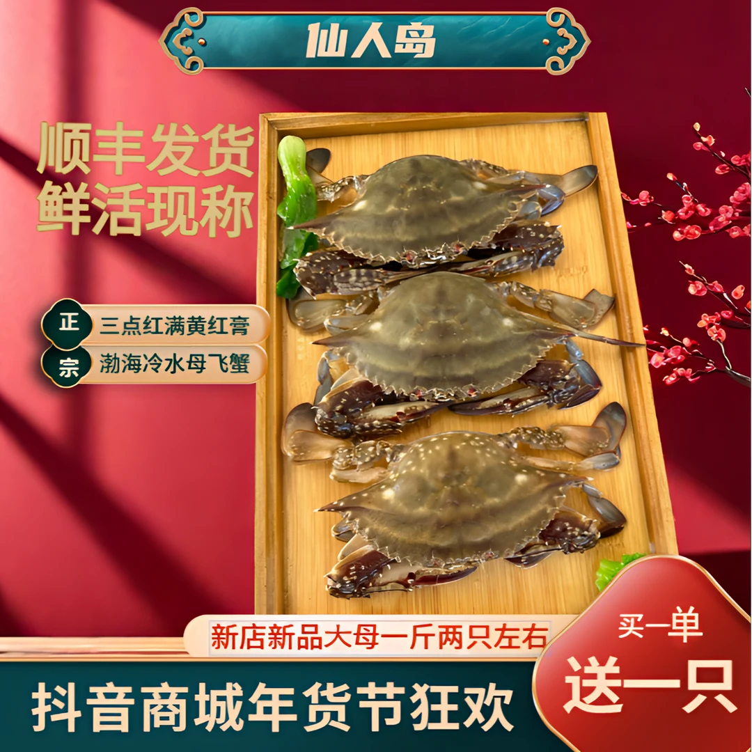 大母飞蟹大连梭子蟹 性价比款飞蟹红膏蟹鲜活发货螃蟹海鲜