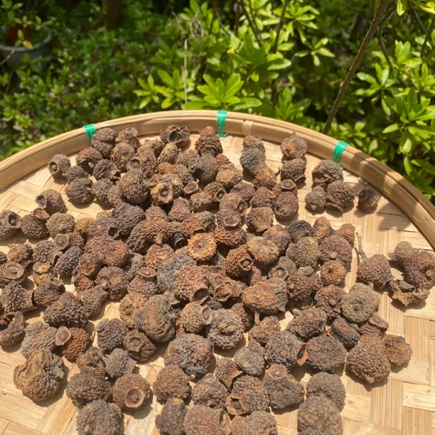【大山土特产】刺梨250g