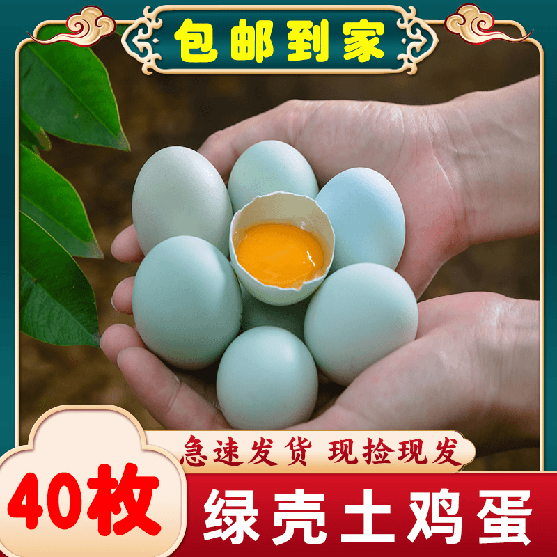 【新人特惠】农家新鲜绿壳鸡蛋乌鸡蛋散养土鸡蛋月子蛋小孩老4-50枚