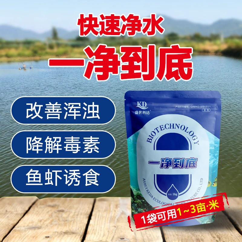 水产养殖一净到底超强净水提高水体透明度净化浓浊水解除毒素诱食