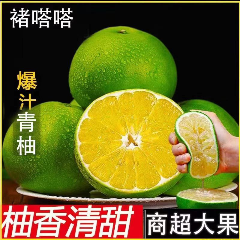 青皮翡翠葡萄柚【现采现发】当季头茬翡翠爆汁柚葡萄柚滑嫩坏果包赔