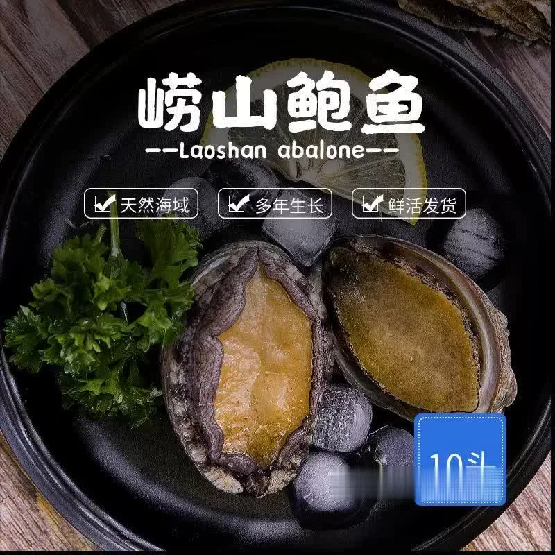 鲜活崂山10头鲍鱼/只