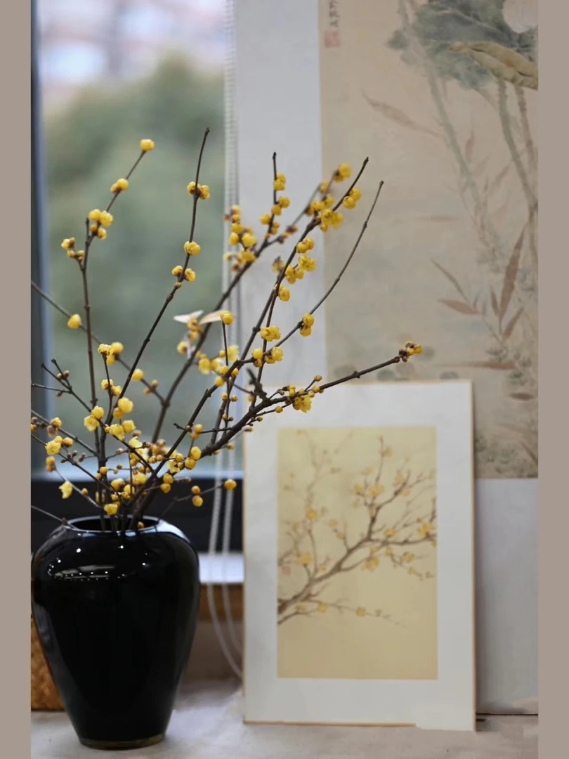 中国腊梅A级鲜花带花苞水培植物室内客厅摆设鲜花