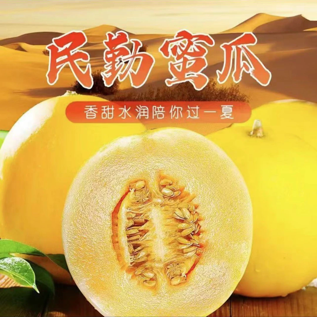 正宗民勤蜜瓜3~4斤装头茬大果包邮当季水果