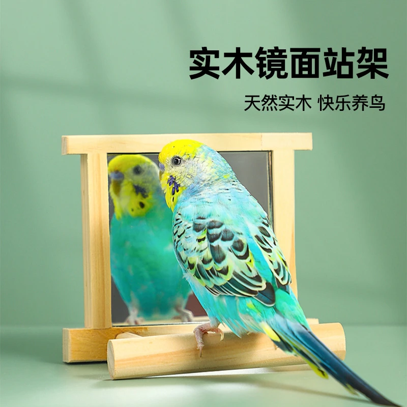 鸟用镜子站台站杆站架跳台虎皮玄凤牡丹啃咬解闷实木鹦鹉玩具用品