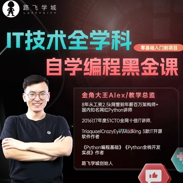 路飞学城Python网络安全Java爬虫数据分析AI云计算黑金课