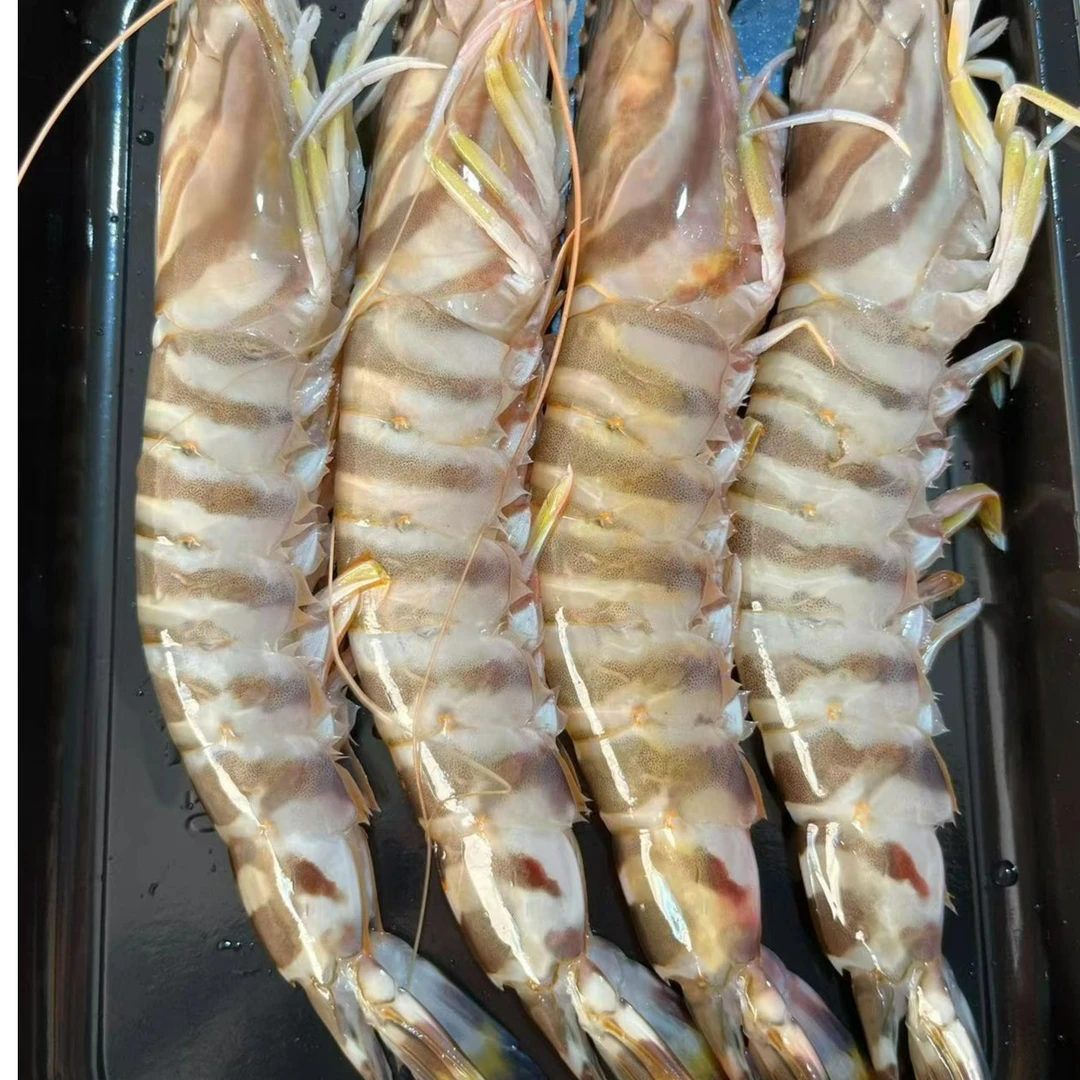 纯野生中号竹节虾 斑节虾400g/盒