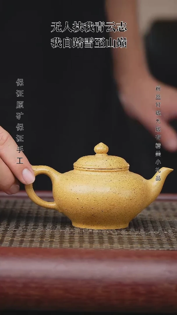 【闪购商品】紫砂茶壶紫砂茶壶