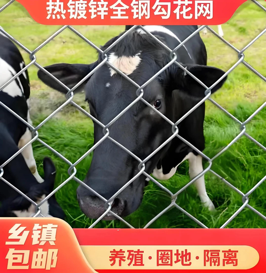 热镀锌铁钢丝勾花网围栏菱形网格养殖狗鸡羊网果园网荷兰不锈钢网