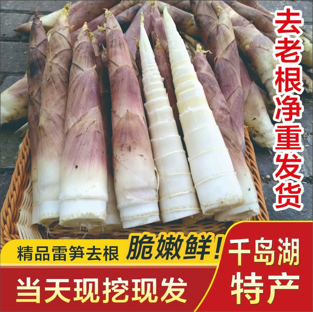 新林圆直售浙江土壤的雷笋、春笋、鲜嫩脆香、切老根后净重发货