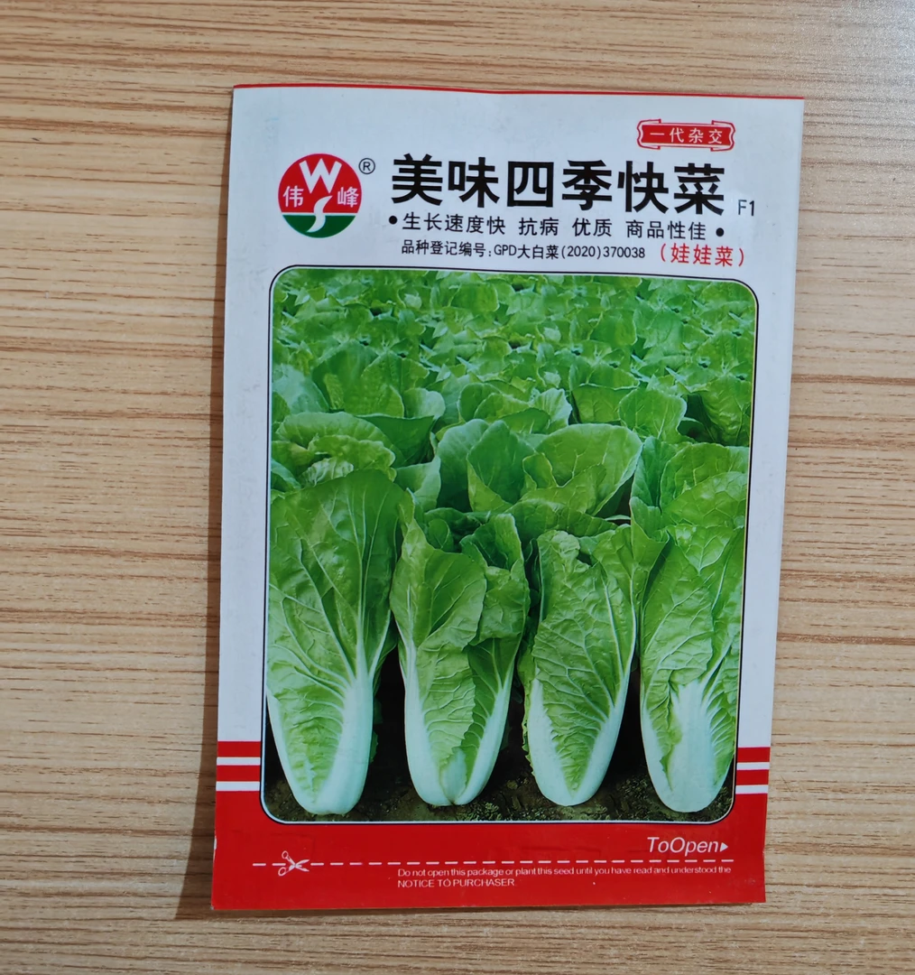 美味四季快菜种子 小白菜 四季种 好吃 家庭种菜 阳台盆栽 10克