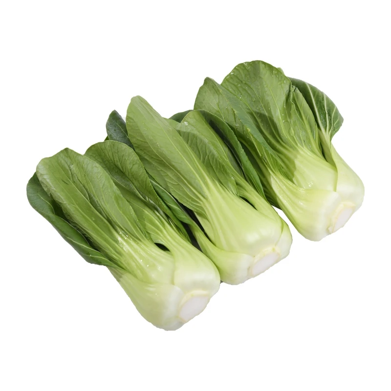 赐康绿色蔬菜飘儿白