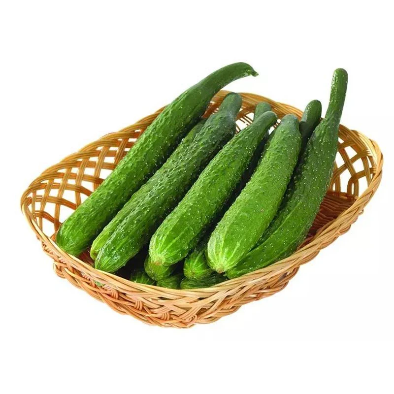高原带刺黄瓜黄瓜同城送