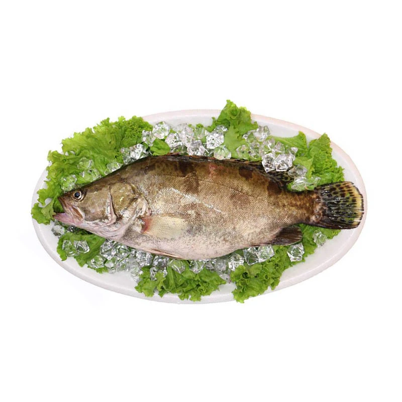 桂鱼鲜鱼 约500g（特殊需求请备注）