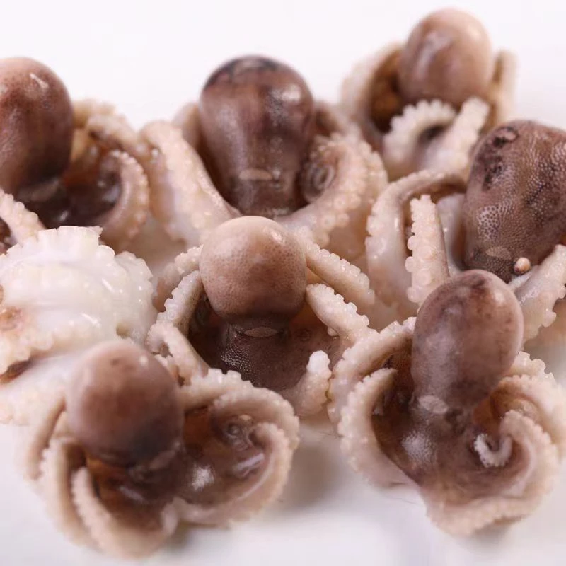 新鲜速冻小八爪鱼 每包250g