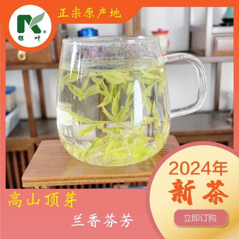 【 头春头采 588 】正宗特级安吉产地厂家直销绿茶原产茶场0326