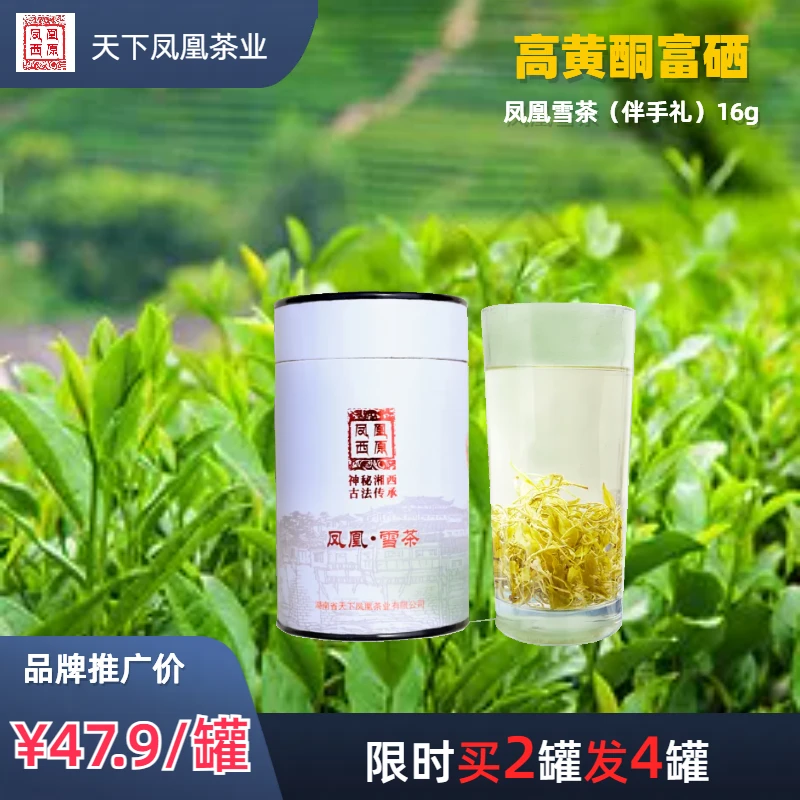 凤凰雪茶伴手礼·雪茶16克  (拍1发二、拍2发6）