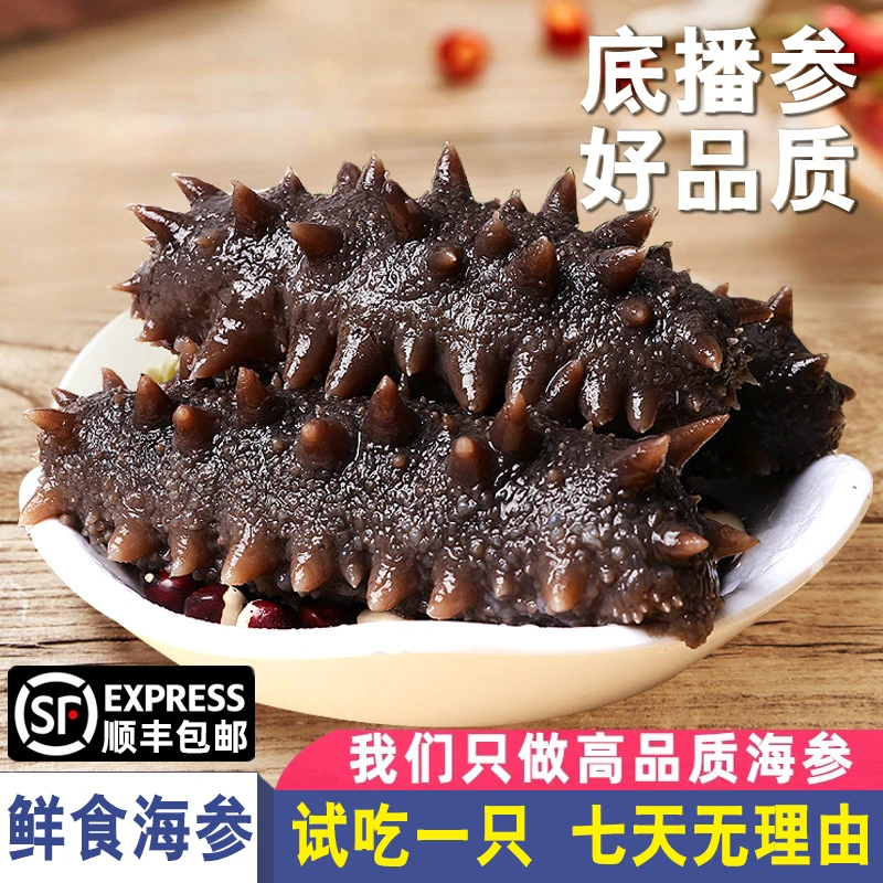 【秋参钜惠】鲜食海参 底播辽参单只独立包装 买4斤送1斤到手5斤