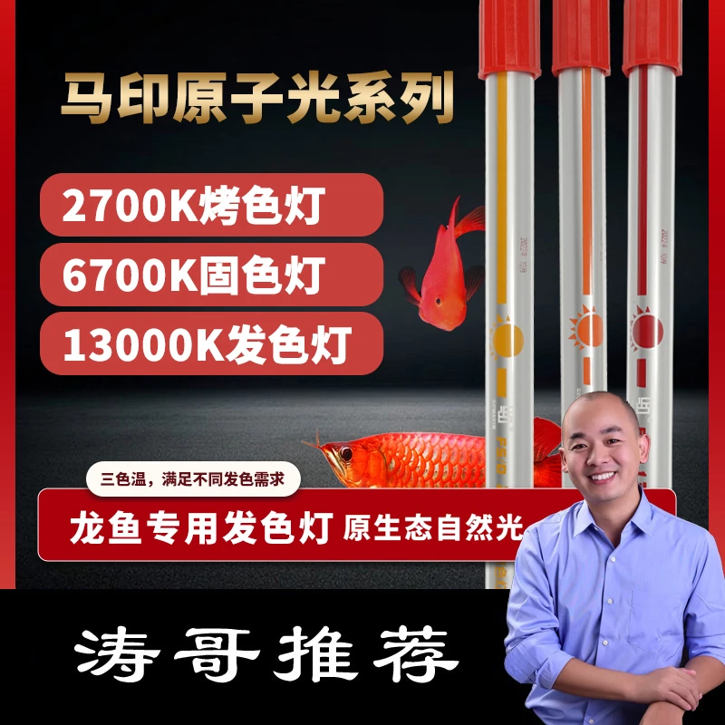 涛哥甄选【马印烤色发色诱色龙鱼灯】红龙金龙鱼原子光T5潜水灯