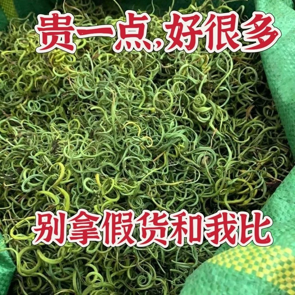 长白山黄金草（非养殖）净重50克  送枸杞