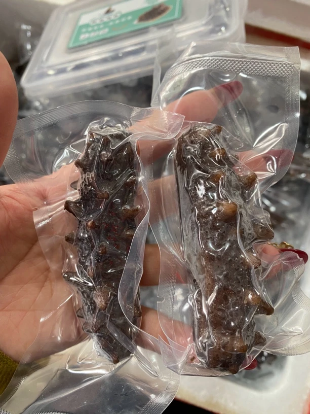 鲜食海参一斤装顺丰包邮